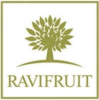 Ravi Fruit Ambient Fruit Purées - Cool Drinks Nederland
